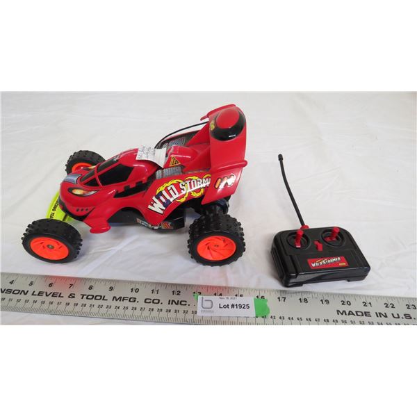 remote control car wild stormer