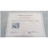 Image 4 : Dan Reid Sleeping Beauties print with certificate