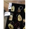Image 2 : TRAY OF 18 ENCASED BUG KEYCHAINS - SCORPIONS, SPIDERS, BUTTERFLYS