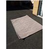 Image 1 : BEIGE 5 FOOT AREA CARPET