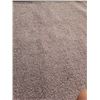 Image 3 : BEIGE 5 FOOT AREA CARPET
