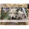 Image 1 : Yamnuska Wolfdog Sanctuary Walk Passes for 2