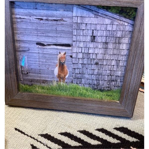 “Pony and Barn” Framed Photograph