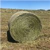 Image 1 : One 1,300 lb Round Bale of Good Quality Horse Hay