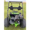 Image 1 : Go Cart