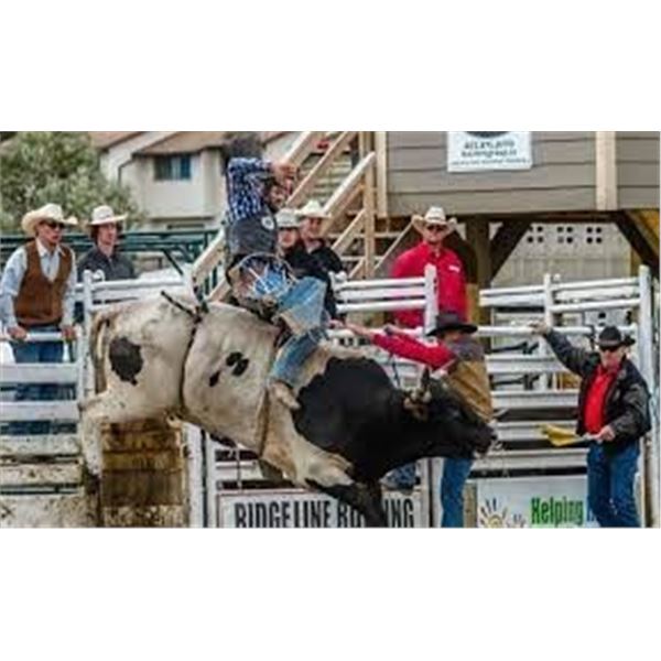 Cochrane Lions Rodeo V.I.P. Pkg for Four Attendees at 2022 Cochrane Rodeo