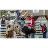 Image 1 : Cochrane Lions Rodeo V.I.P. Pkg for Four Attendees at 2022 Cochrane Rodeo