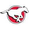 Image 2 : Calgary Stampeders Package for Four
