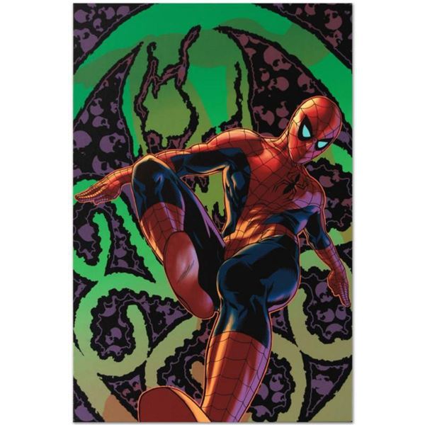 Marvel Comics  Amazing Spider-Man #524  Numbered Limited Edition Giclee on Canvas by Mike Deodato Jr