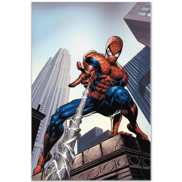 Marvel Comics "Amazing Spider-Man #520" Numbered Limited Edition Giclee on Canvas by Mike Deodato Jr