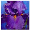 Image 1 : "Dancer" Limited Edition Giclee on Canvas by Simon Bull, Numbered and Signed. This piece comes Galle