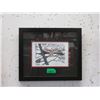 Image 1 : Richard Shorty Framed Print - Screaming Eagle