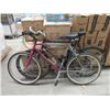 Image 1 : 1 Asama and 1 Raleigh 18 Speed Bicycle