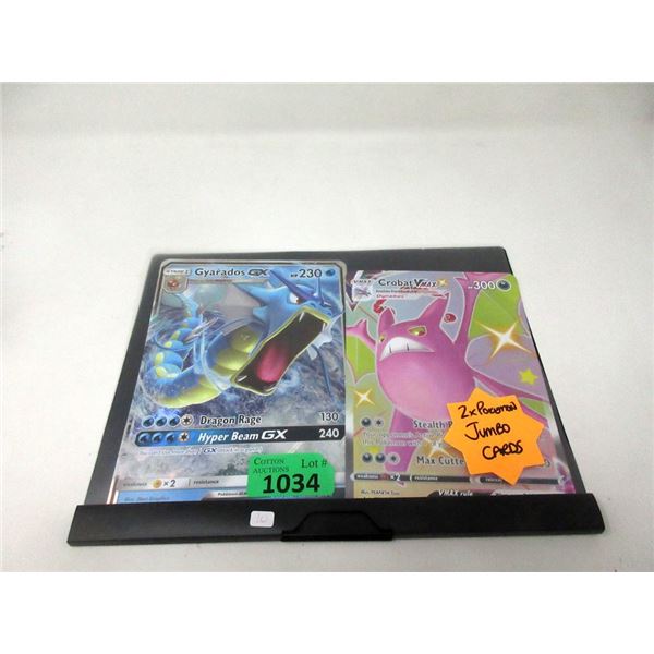 2 Pokemon Jumbo Cards