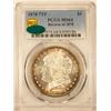 Image 3 : 1878 7TF Reverse Of 1878 Morgan Dollar $1 PCGS MS-64 CAC Toned