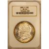 Image 3 : 1880-S Morgan Dollar NGC MS-66 (Toned) (NGC Fatty Holder)