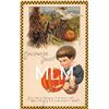Image 1 : Winsch Freixas Checkered Border Halloween Jollity Boy & Pumpkin Holiday Postcard