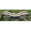 Image 1 : USED SKID STEER TRACK - 320 X 84C X 50