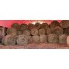Image 1 : LOT OF 25 - 2021 HAY - 4X5 RND BALES - PRICE PER LOT NOT PER BALE