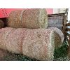 Image 1 : LOT OF 8 - 4 X 5 ROUND BALES OF STRAW