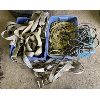 Image 1 : JOB LOT - STRAPS, ROPE, EXT CORD, ETC