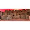Image 1 : LOT OF 25 - 2021 HAY - 4X5 RND BALES - PRICE PER LOT NOT PER BALE