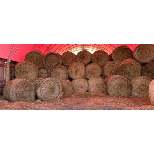 LOT OF 25 - 2021 HAY - 4X5 RND BALES - PRICE PER LOT NOT PER BALE