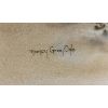 Image 2 : NANCY GRAY OGLE FRAMED PRINT - 19 X 24 INCHES PLUS FRAMING
