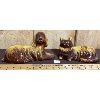 Image 1 : LOT OF 2 - BLUE MOUNTAIN POTTERY HARVEST GOLD - DOG AND CAT