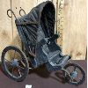 Image 1 : ANTIQUE THREE WHEEL DOLL BUGGY - 14.5IN TALL
