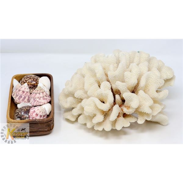 LOT OF ASSORTED SEASHELLS & LARGE CORAL PIECE