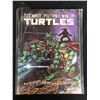 Image 1 : EASTMAN AND LAIRD TEENAGE MUTANT NINJA TURTLES FIRST GRAPHIC NOVEL
