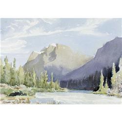 Margaret Dorothy Shelton