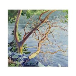 Walter Joseph Phillips