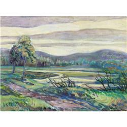 Colleen Anderson-Millard