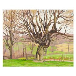 Frederick Stanley Haines