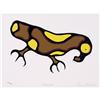 Image 1 : Norval H. Morrisseau