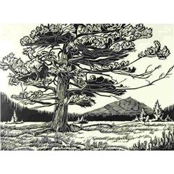 Margaret Dorothy Shelton