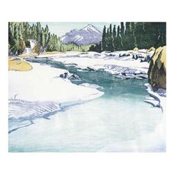 Margaret Dorothy Shelton