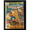Image 1 : THE AMAZING SPIDER-MAN #173 (MARVEL COMICS)