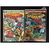 Image 1 : THE AMAZING SPIDER-MAN #125 & #132 (MARVEL COMICS)