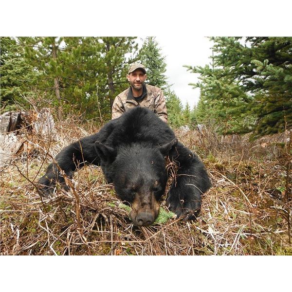 PHILMONT SCOUT: 3-Day American Bison Hunt for One Hunter and One Non-Hunter in New Mexico - Includes