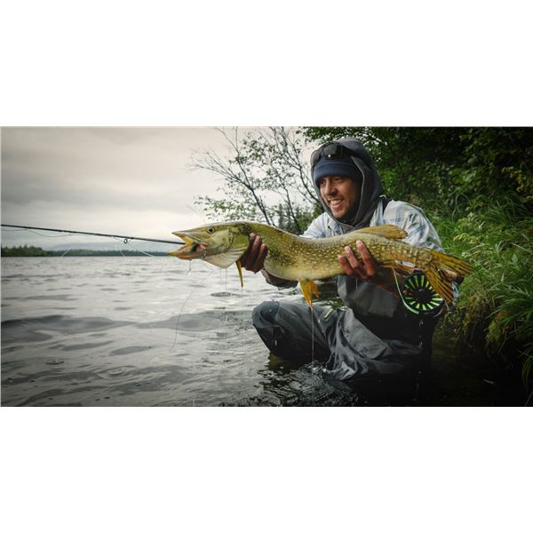 KALAHARI SAFARI: 5-Day Plains Game Safari for Two Hunters in Namibia - Includes Trophy Fees