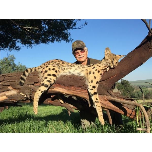 LINEHAN OUTFITTING: 5-Day/6-Night Spring Bear Hunt for Two Hunters in Montana