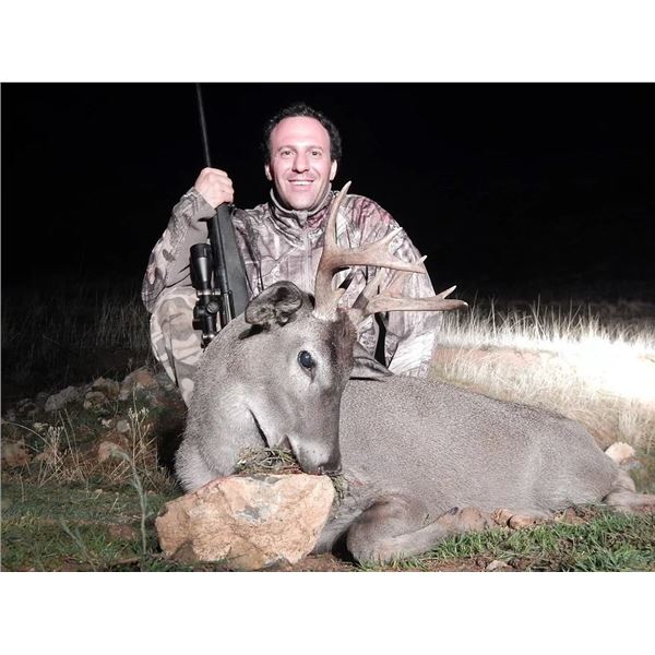 MOKORE SAFARIS: 10-Day Tuskless Elephant Hunt for One Hunter and One Non-Hunter in Zimbabwe