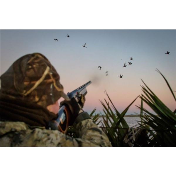 SCHEELS: Blaser R8 Ultimate Leather 6.5 Creedmoor