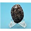 Image 1 : 3)  SCALLOPPED EDGE TURTELLA JASPER RING,