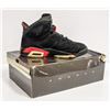 Image 1 : COLLECTIBLE NIKE AIR JORDAN 6
