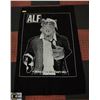 Image 1 : ALF WALL HANGING CLOTH APPROXIMATELY 2' X 4'