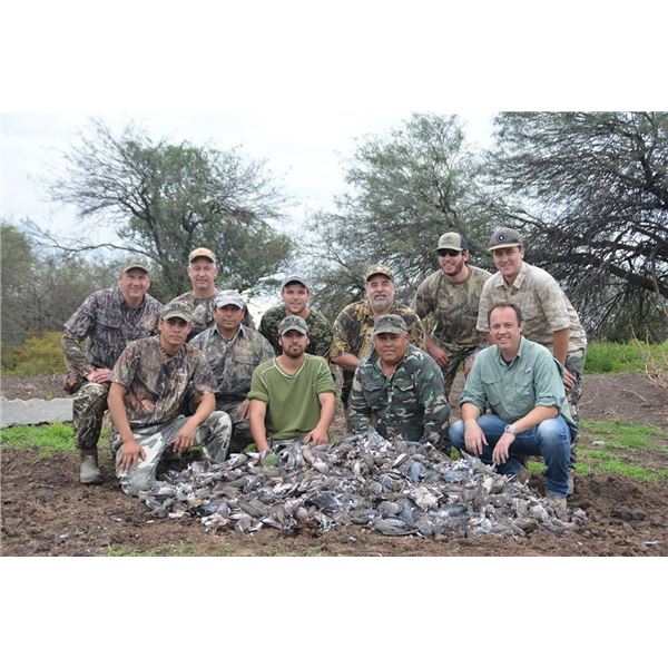 DOVE HUNTING IN ARGENTINA 10 Hunters / 4 Hunting Days in SDE SEASONS 2021/22
